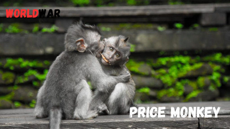price monkey